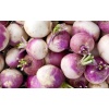 navet-violet-bio