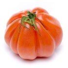 tomate-ancienne-coeur-de-boeuf