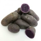vitelotte_806600739