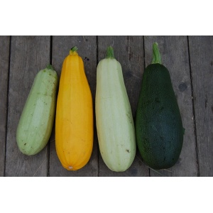 courgettes_mlange